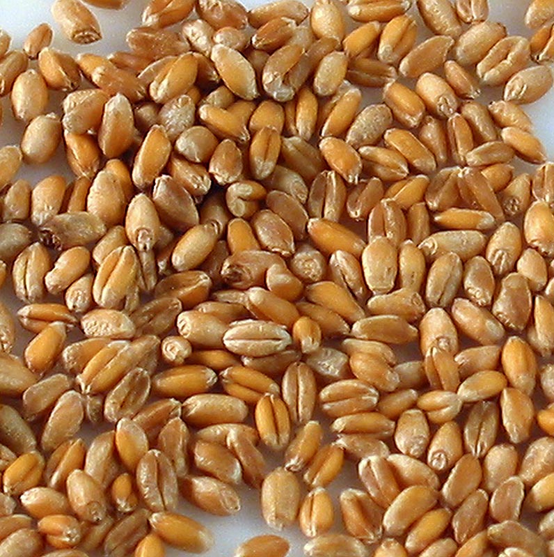 Volkoren, biologisch, 1 kg