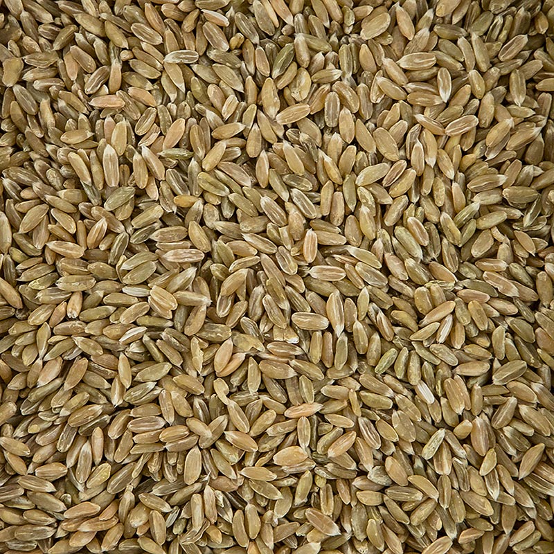 Groene tarwe, heel, biologisch, 1 kg