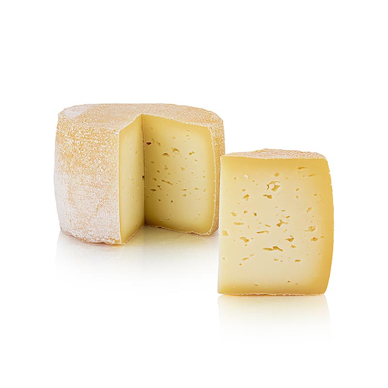 Kleine dijkkaas, snijkaas, Hof Backensholz, BIO, ca. 670 g