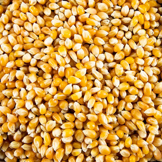 Biologische popcornmaïs in een verpakking van 1 kg, perfect voor het maken van gezonde en smakelijke popcorn snacks