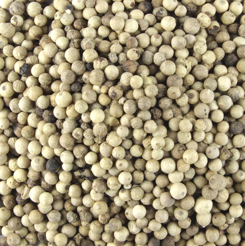 Witte peper, hele korrels, 1 kg verpakking - kruiden en specerijen voor het op smaak brengen van gerechten