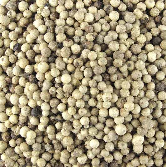 Witte peper, hele korrels, 1 kg verpakking - kruiden en specerijen voor het op smaak brengen van gerechten