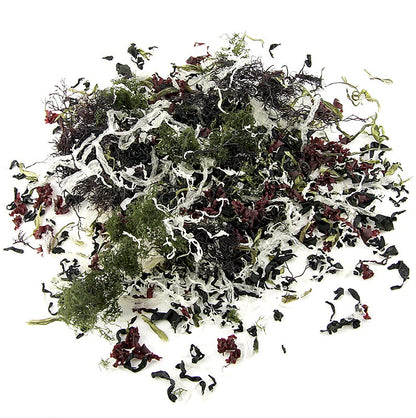 Kaiso Dried Seaweed Mix, gedroogd zeewier, 6 soorten zeewier voor Kaiso-salade, 100 g