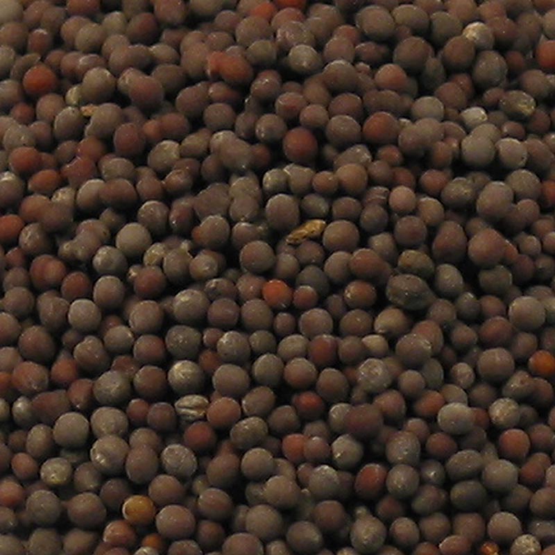 Mosterdzaad, donker, 100 g - Een verpakking met 100 gram donker mosterdzaad