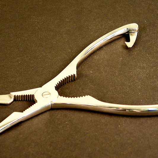 Kreeftentang, 20 cm, 1 stuk