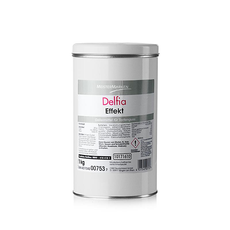 Effect geleergips, 1 kg product verpakking voor het maken van gedetailleerde gipsafdrukken