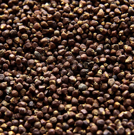 250 g Paradijskorrels - Guinee, Melegue, Malagetta, Maniguette peper, productfoto