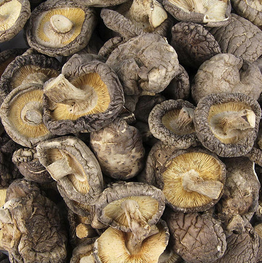 Shiitake paddenstoelen, Tongu, klein kaliber ø 3cm, Zhong-Hon-Gu, 1 kg