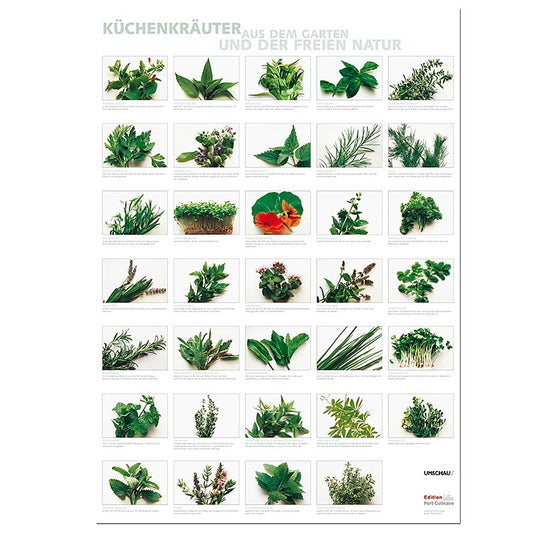 Port Culinaire - Keukenposter keukenkruiden (594 x 84cm), 1 st - Een gedetailleerde keukenposter met afbeeldingen van diverse keukenkruiden