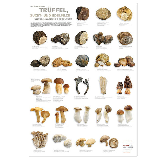 Port Culinaire - Keukenposter truffels, gekweekte en fijne paddenstoelen (59,4 x 84cm), 1 st - Een gedetailleerde keukenposter met afbeeldingen van truffels, gekweekte en fijne paddenstoelen op formaat 59,4 x 84cm