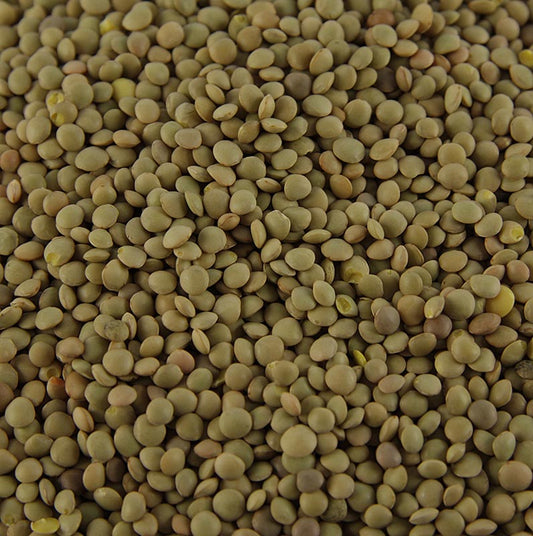 Linzen, bruin - Lenticchie Umbre, berglinzen, Umbrië, Bartolini, 500 g