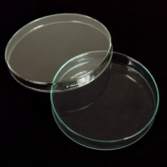 Glazen petrischalen, ø 15 cm met deksel, 1 stuk