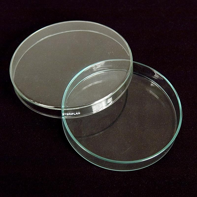 Glaspetrischalen, ø 12 cm met deksel, 1 stuk