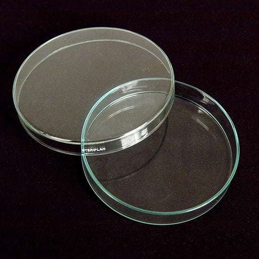 Glaspetrischalen, ø 12 cm met deksel, 1 stuk