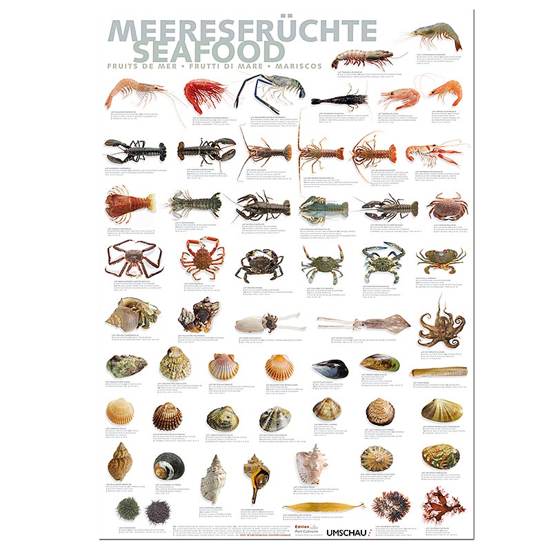 Port Culinaire - Keukenposter Zeevruchten (59,4 x 84 cm), 1 stuk