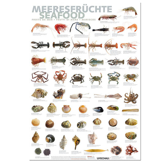 Port Culinaire - Keukenposter Zeevruchten (59,4 x 84 cm), 1 stuk