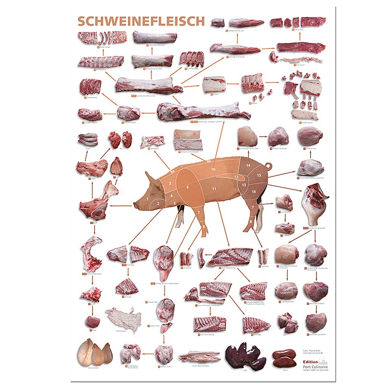 Port Culinaire - keukenposter varkensvlees (59,4 x 84 cm), 1 stuk