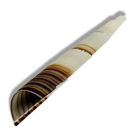 Decoratieve topping "Cornet" - mini-hoorntjes, gemarmerd, ca. 80 mm, 350 g, 117 stuks