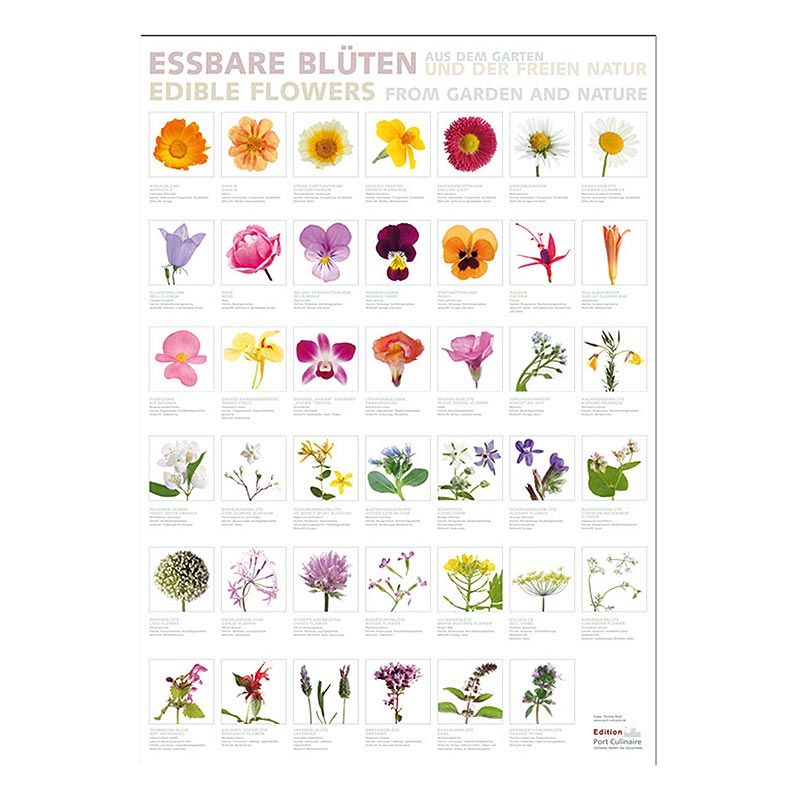 Port Culinaire - Keukenposter eetbare bloemen (59,4 x 84cm), 1 st