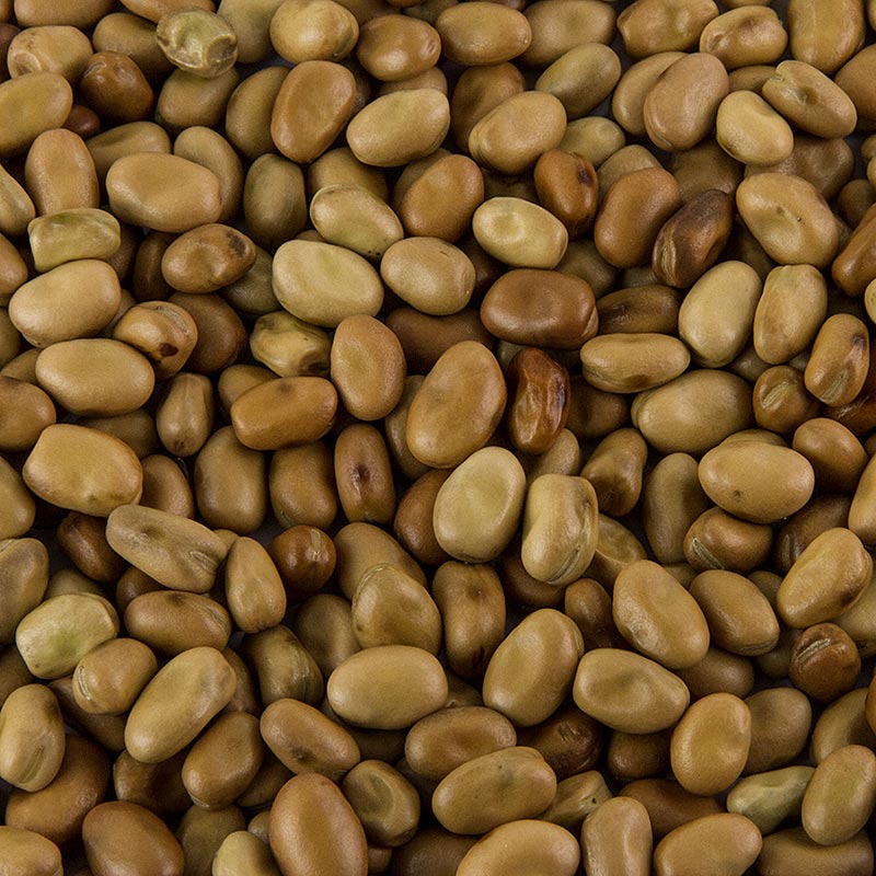 Foul Medammas - Fava bonen, gedroogd, 800 g - Een grote zak gedroogde Foul Medammas Fava bonen van 800 gram