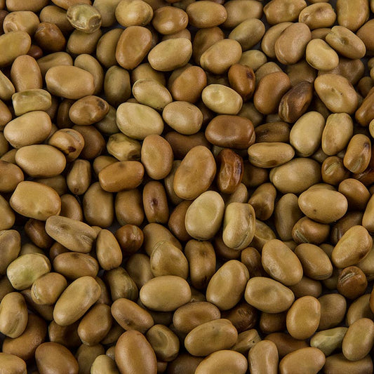 Foul Medammas - Fava bonen, gedroogd, 800 g - Een grote zak gedroogde Foul Medammas Fava bonen van 800 gram
