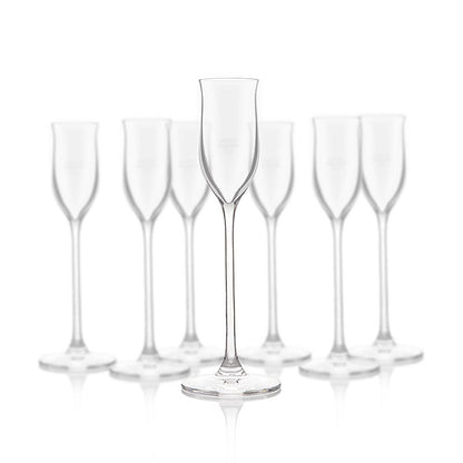 Set of 6 Reisetbauer fruit brandy glasses with 2 cl capacity, featuring a measuring mark