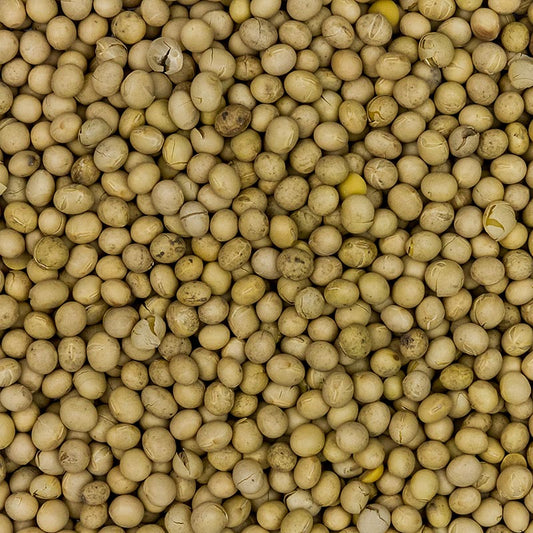 Sojabonen, Europa, BIO, 1 kg