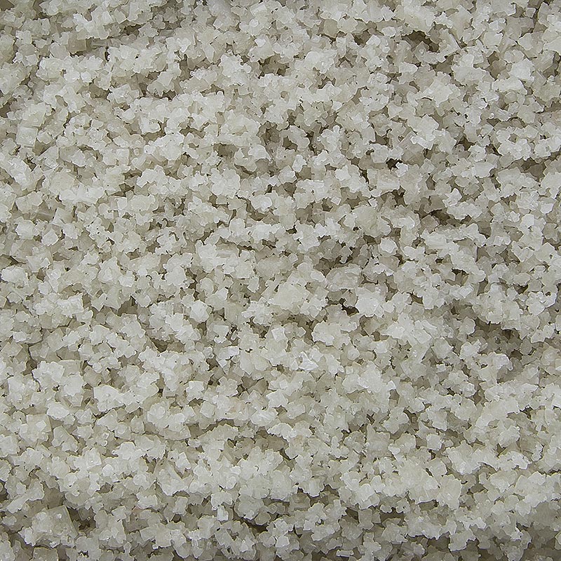 5 kg bag of coarse, grey, moist Guerande sea salt from France, TradySel brand