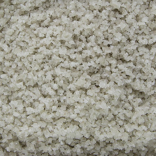 5 kg bag of coarse, grey, moist Guerande sea salt from France, TradySel brand