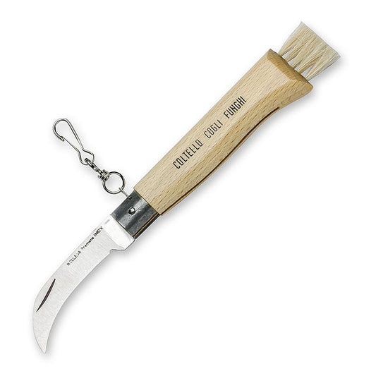 Truffelmessen met borstel, opvouwbaar, ca. 21,5 cm lang, 1 stuk