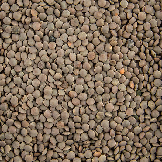 Linzen, bruin, klein, 1 kg