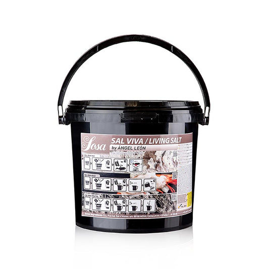 Ángel León's Zout Sal Viva / Levend Zout is a 3 kg product with high-quality sea salt perfect for enhancing the flavors of your dishes