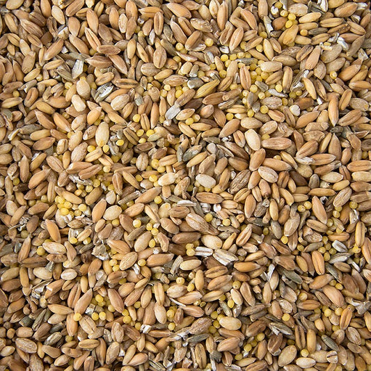 6-granenmix (tarwe, rogge, spelt, haver, gierst, gerst), 1 kg