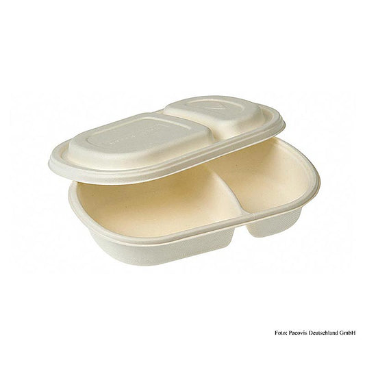 Disposable Naturesse takeout container with lid, 240x154x40mm, pack of 200