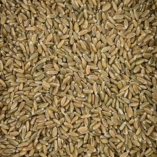 Groene tarwe, heel, biologisch, 500 g