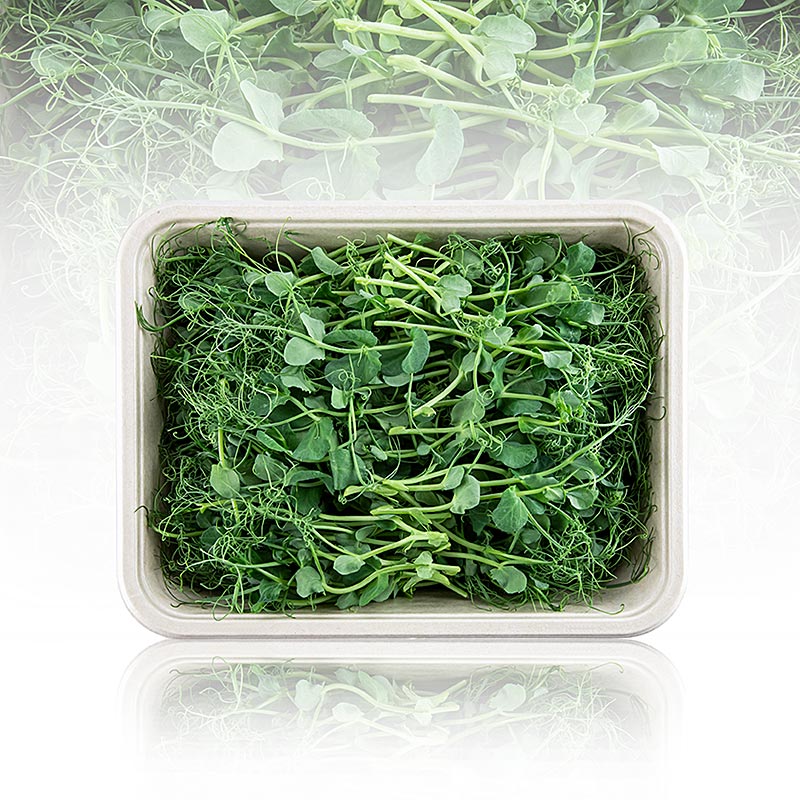 volgepakt Microgreens "erwten", zeer jonge blaadjes / kiemgroenten, 100 g