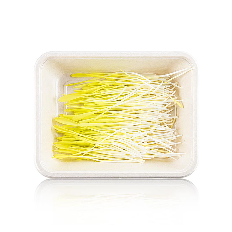 volgepakt Microgreens "Maïs", zeer jonge blaadjes / kiemgroenten, 50 g