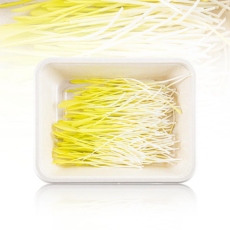 volgepakt Microgreens "Maïs", zeer jonge blaadjes / kiemgroenten, 50 g