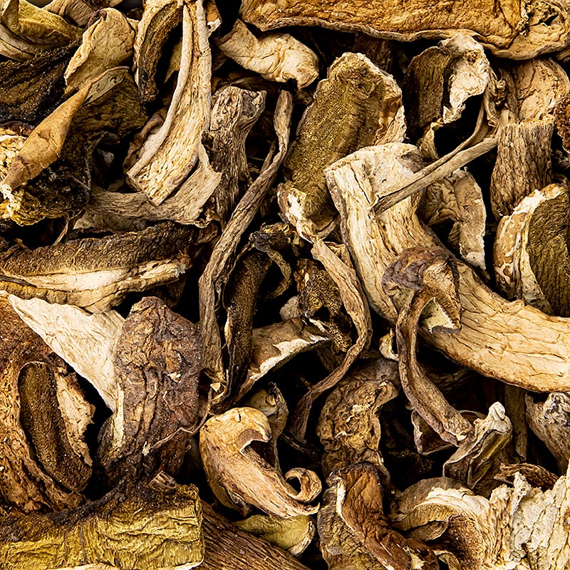 1 kg of high-quality Gedroogde eekhoorntjesbrood (Cèpes/ Porcini) from Plantin