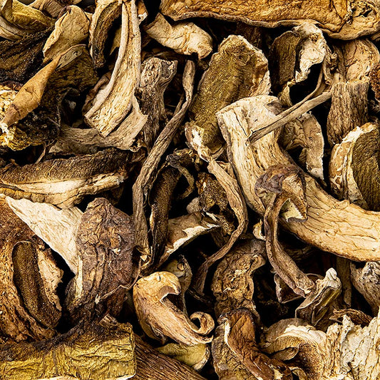 1 kg of high-quality Gedroogde eekhoorntjesbrood (Cèpes/ Porcini) from Plantin
