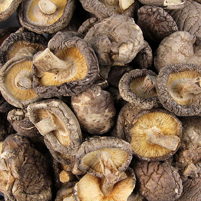 Gedroogde shiitake-paddenstoelen (klein formaat ø 3-4 cm), 500 g