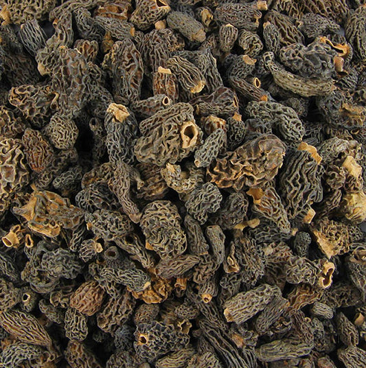 Puntige morillekoppen, or tiny dried morel mushrooms, 1 kg tin from Plantin, a high-quality gourmet product for culinary use