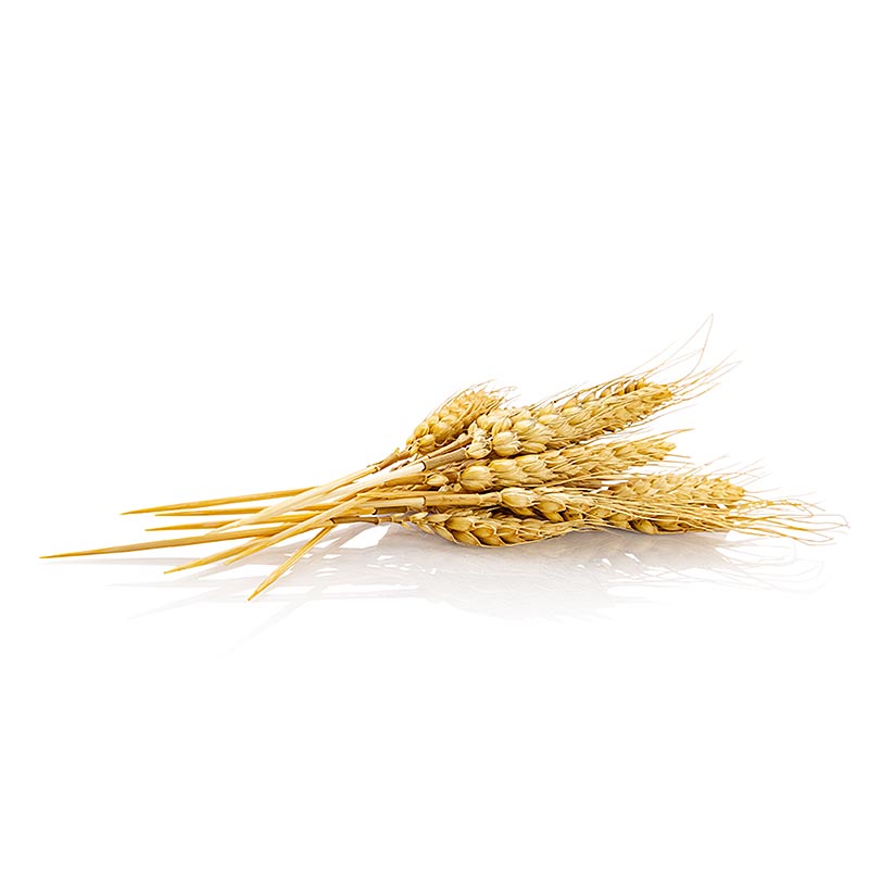 Wegwerp spiesjes van tarwehalmen (natuurlijk product), 20 cm, 50 stuks