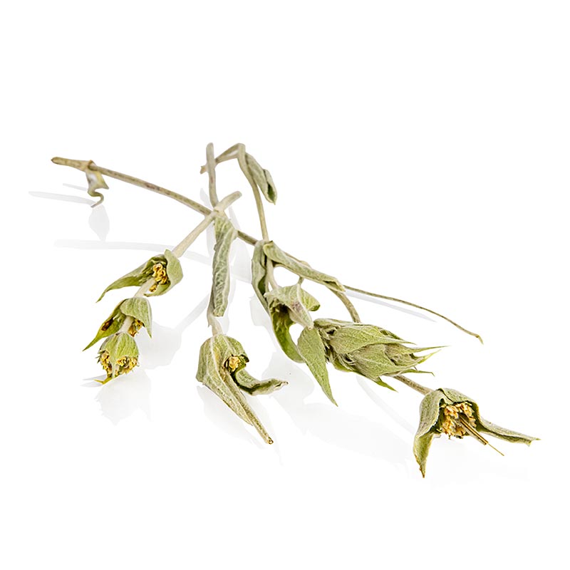 Griekse bergthee, Anemos, BIO, 25 g
