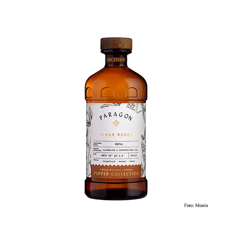 Paragon Timur Berry, Monin, 485 ml