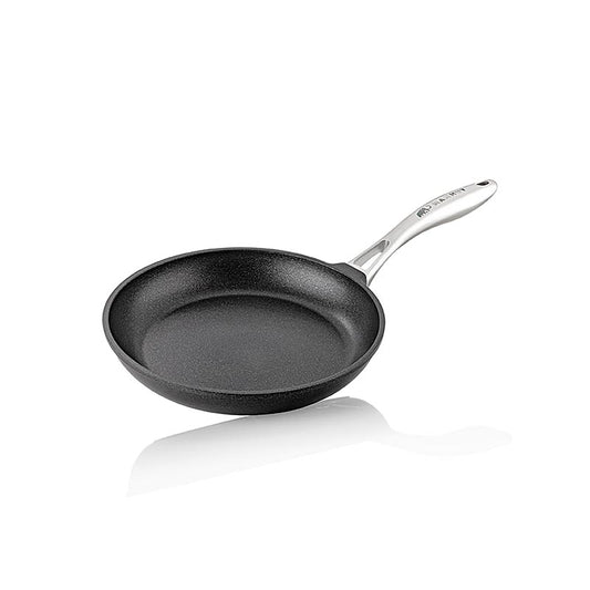 MAMMUT-pan voor inductie, roestvrijstalen handvat, Ø 20 cm, 5 cm hoog, AMT Gatroguss, 1 stuk