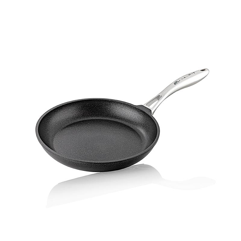 MAMMUT-pan inductie, roestvrijstalen handvat, Ø 24 cm, 5 cm hoog, AMT Gatroguss, 1 stuk
