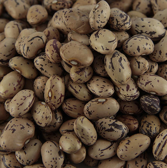Haricots, Borlotti - Haricots de caille, petits, séchés, 500 g, idéaux pour de délicieux ragoûts et soupes