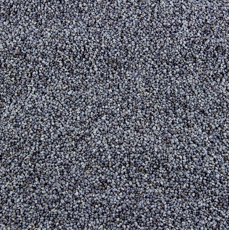 Graines de pavot bleu, entières, 1 kg - emballées dans un sac transparent de 1 kg