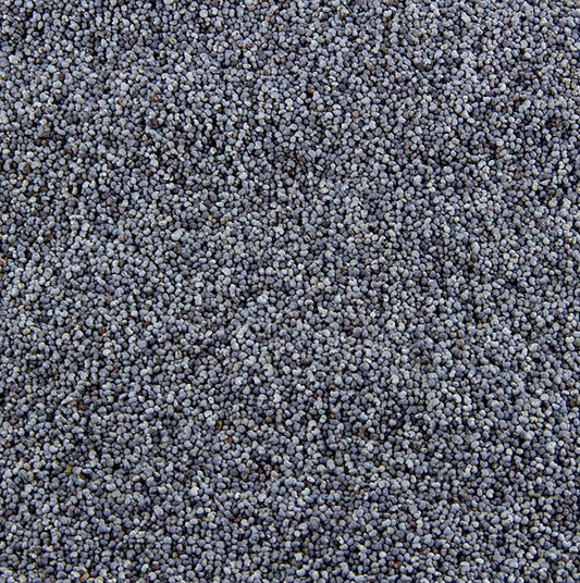 Graines de pavot bleu, entières, 1 kg - emballées dans un sac transparent de 1 kg